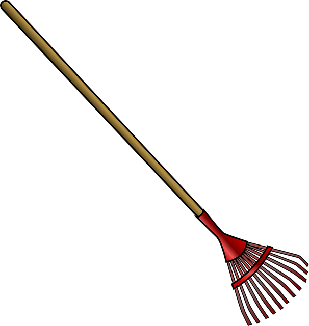 tree-removal-640x480-97532491.png