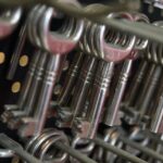 Playground Tree Safety: Vancouver WA Expert Insights & Maintenance