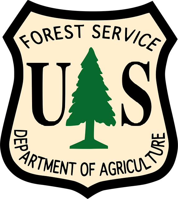 tree services