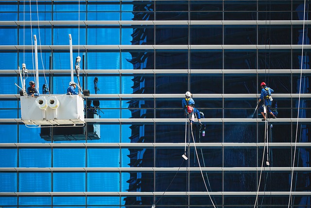 tree services