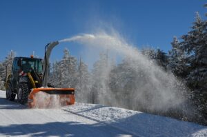 tree-services-640x480-70023473.jpeg