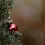 Pre-Storm Tree Trimming: Vancouver WA Essential Guide