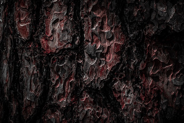 tree-trimming-640x480-72259120.jpeg