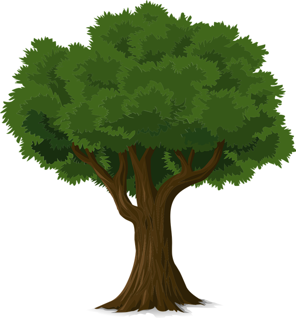 tree trimming