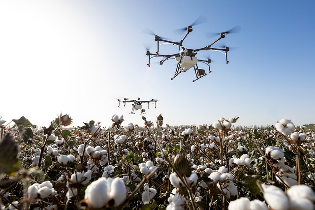 uavs