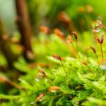 Chlorine Management: Safeguarding Drinking Water Sources