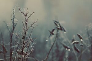 web-design-640x480-33241347.jpeg