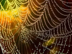 web-design-640x480-4897440.jpeg