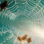 Maximizing ROI in Lancaster TX Web Design Strategies