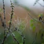 Mesquite TX Web Design: Strategy for Success & Visibility