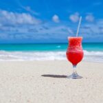 Legal Guidelines for Womens Exotic Apparel: Rights & Protections