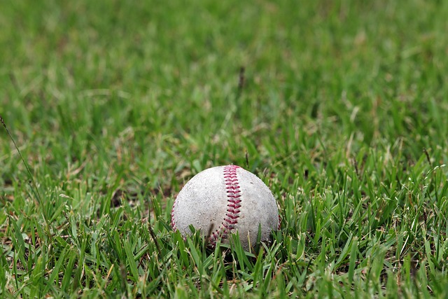 baseball equipment