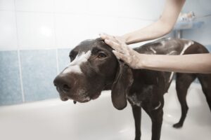 bath-rugs-640x480-25427019.jpeg