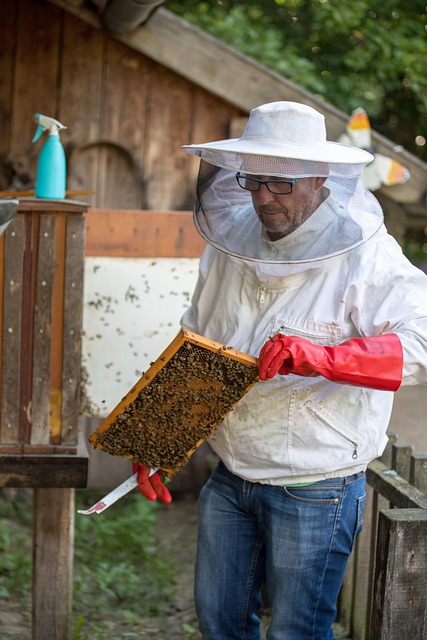 beekeeping supplies