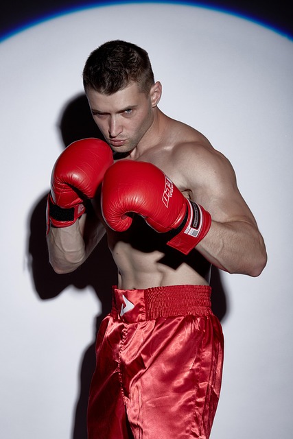 boxing bag gloves
