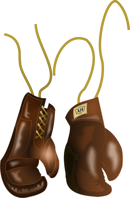 boxing bag gloves