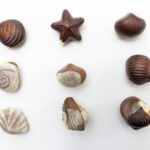 Mastering Shell Molding with Chocolate Molds: Design and Benefits