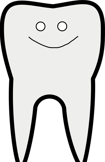 dental burs