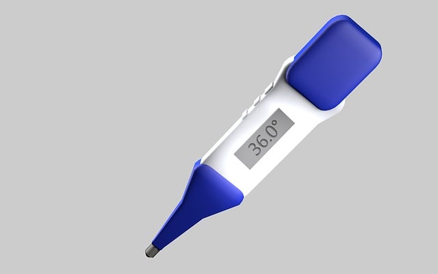 dog thermometers