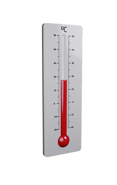 dog thermometers