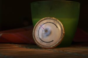dog-thermometers-640x480-78010354.jpeg