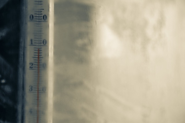 dog thermometers