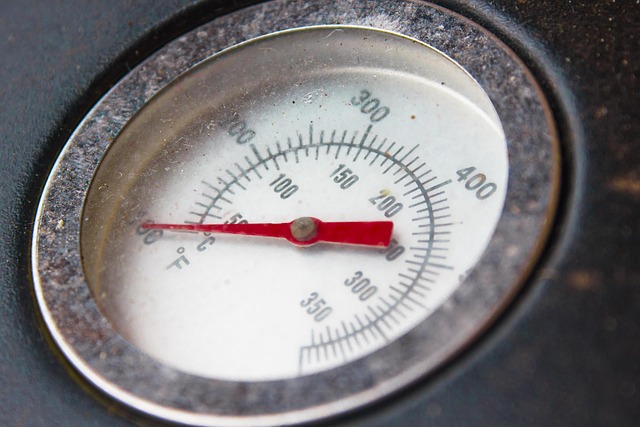 dog thermometers