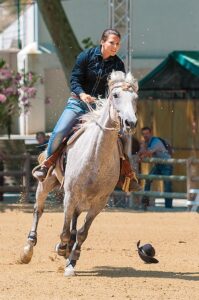 equestrian-equipment-640x480-34241338.jpeg