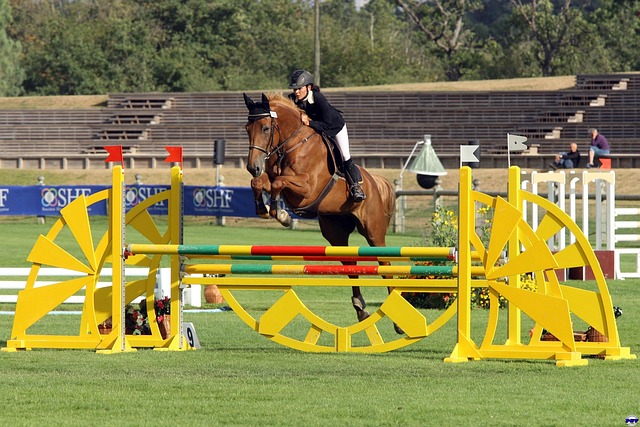 equestrian equipment