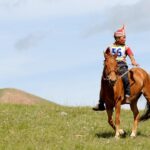 Protecting Equestrian Sports: Weather-Ready Gear and Safety Tips