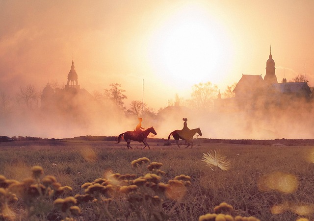 equestrian equipment