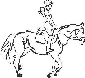equestrian-equipment-640x480-90170652.png