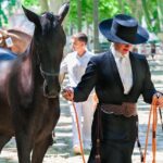 Competitive Equestrian Safety Gear: Protecting Riders with Essential Equipment