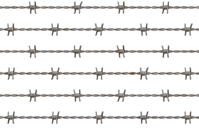 fencing foils
