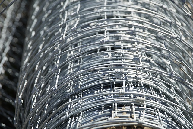 fencing foils