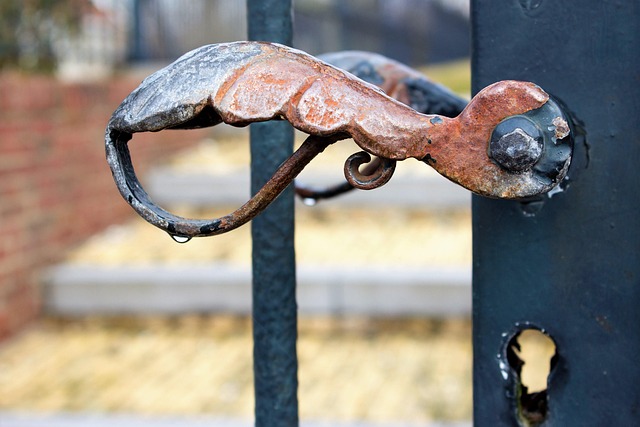 fencing foils