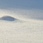 Global Flavor Trends: Organic Powders and Sustainable Solutions