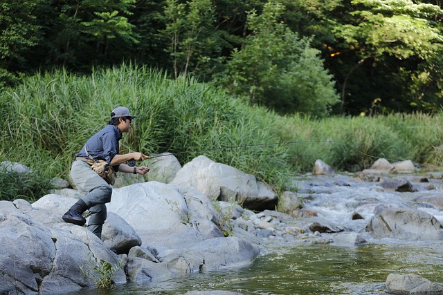 fly fishing flies