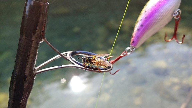 fly fishing flies