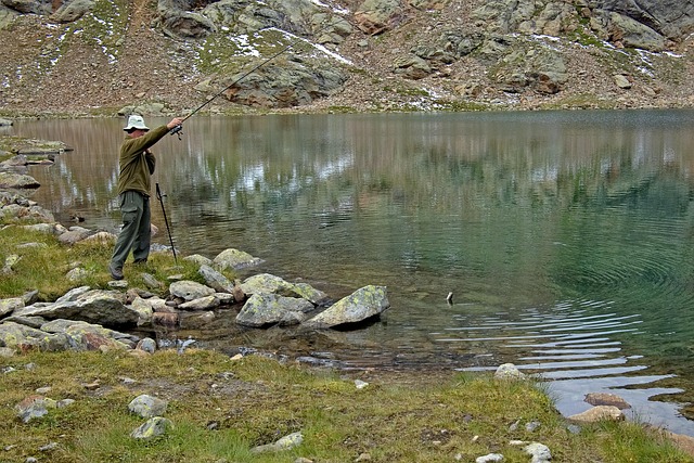 fly fishing flies
