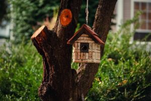 garden-houses-640x480-40377715.jpeg