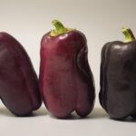 Unveiling Heat: Capsaicin Levels in Fresh Jalapenos