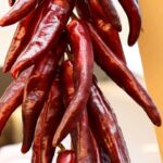 Unveiling Color Stages: Fresh Jalapenos’ Culinary Journey