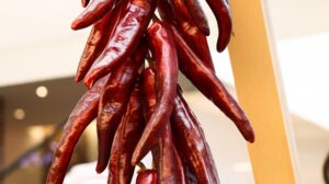 jalapenos-peppers-640x480-69329703.jpeg
