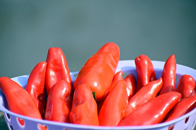 jalapenos peppers