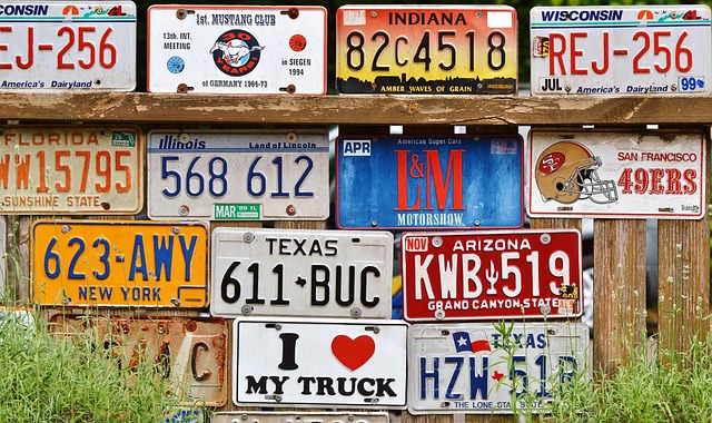 license plate frames