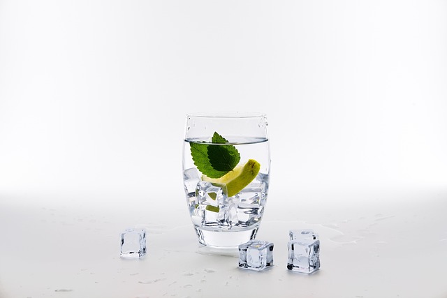 mint julep cups