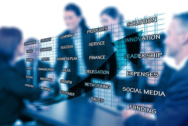 social media management