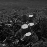 Portland OR Stump Grinding Blades: Choosing and Maintaining