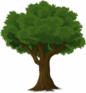 tree-removal-640x480-40126720.png
